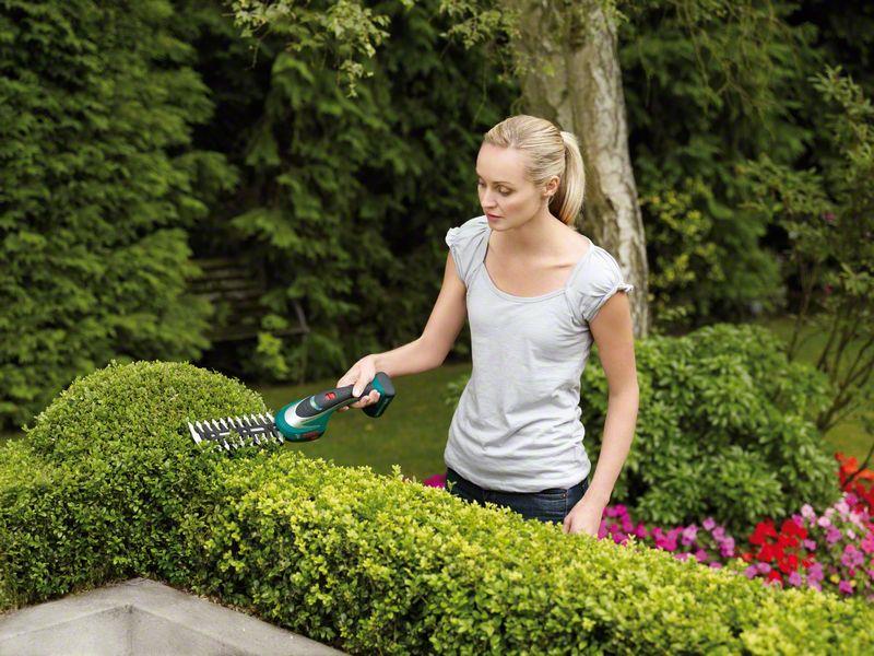 Bosch asb 10.8 v best sale 20cm cordless hedge trimmer